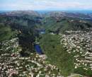 Urban forests boost birdlife in New Zealand’s cities